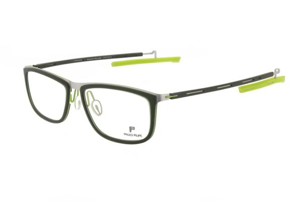 PP-213 C04